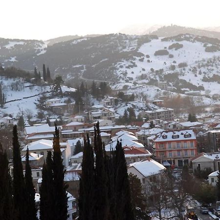 Kalavrita Winter Retreat - Homely Spacious Chalet Άνω Βλασία Экстерьер фото